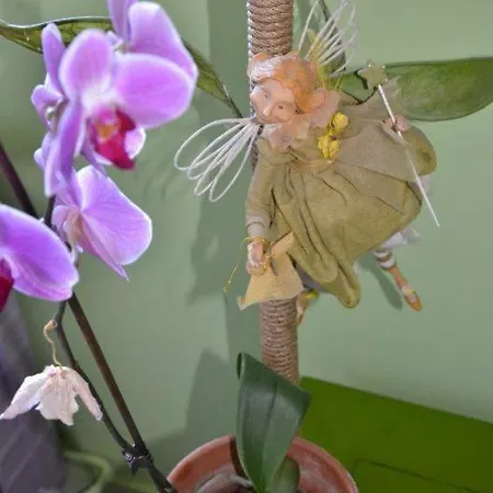 D'hôtes Le Chez Qui J'habite 3*