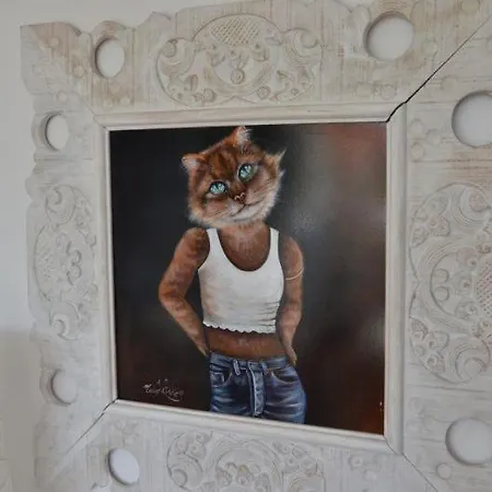 D'hotes & Le Chez Qui J'habite Oda ve Kahvaltı