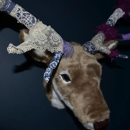 D'hotes & Le Chez Qui J'habite